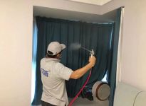 专业除甲醛哪里好