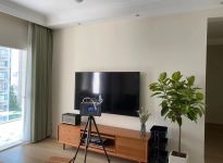 发财树能吸甲醛吗