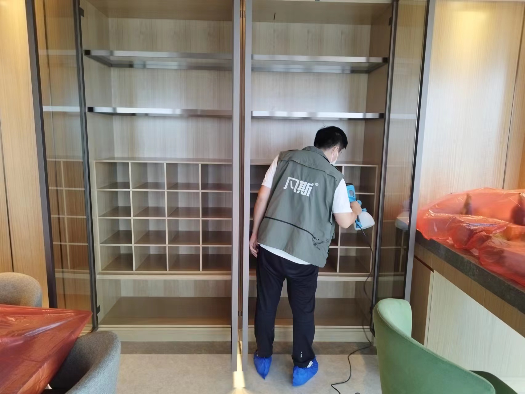 家里绿植的选购技巧，净化室内空气